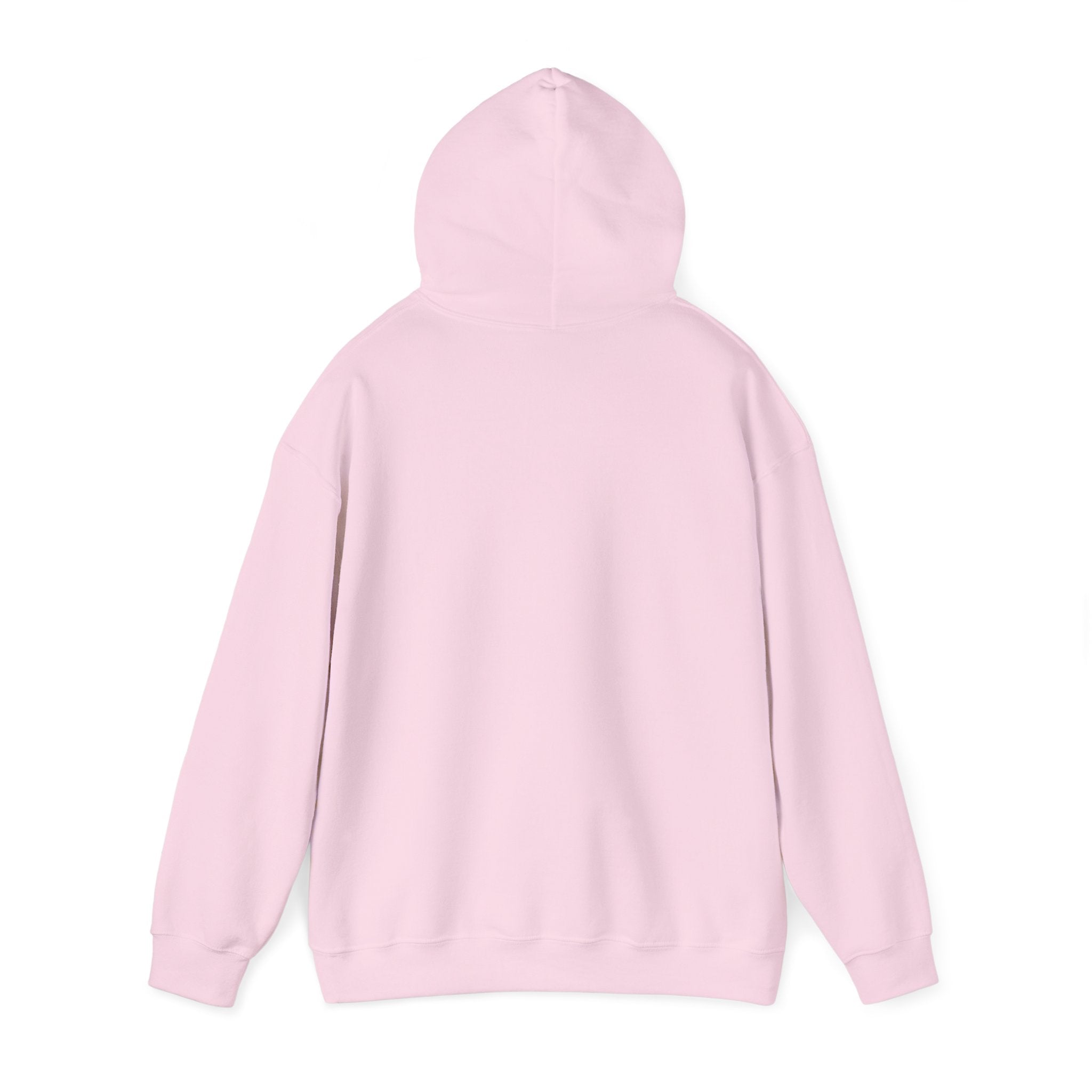 Eye Don't Chase Hooded Sweatshirt